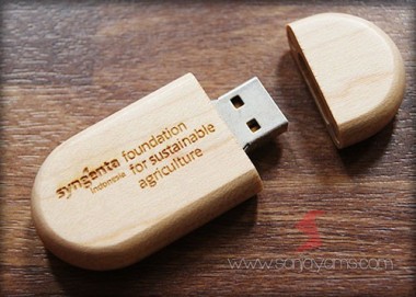 USB Kayu (UW02)