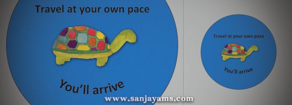 Coaster Turtle Bu Lucy