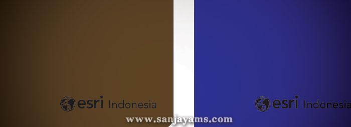 Dompet Passport PT Esri