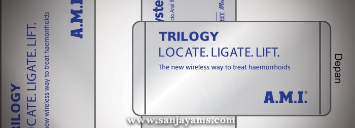 Souvenir Powerbank 5000 MAH PT Dian Langgeng